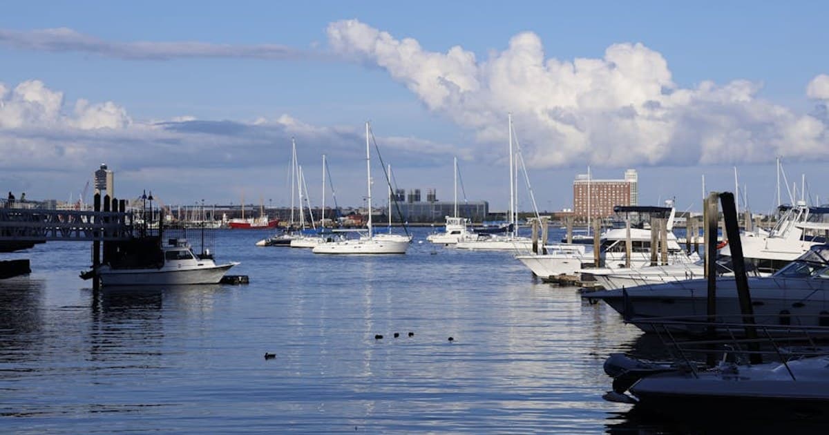 Cannabis Concentrates and Extracts: A Beginner's Overview