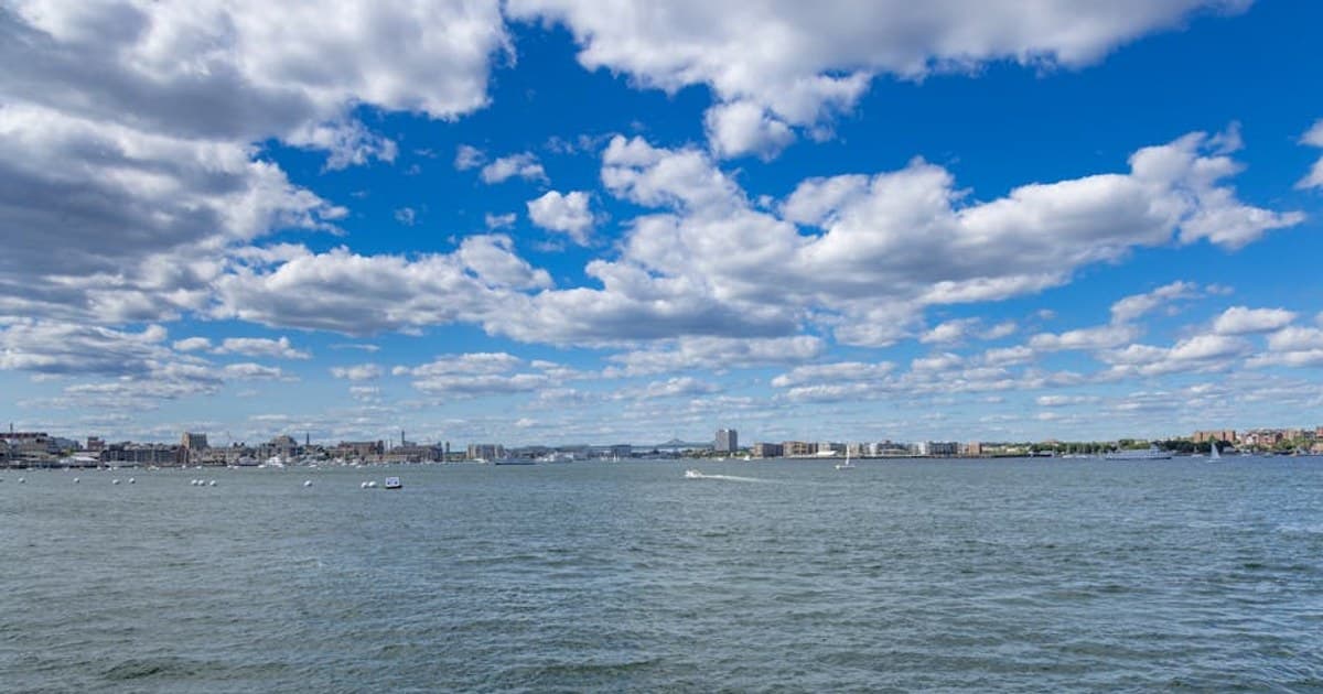 Cannabis Terminology 101: A Glossary of Terms Every Consumer Should Know