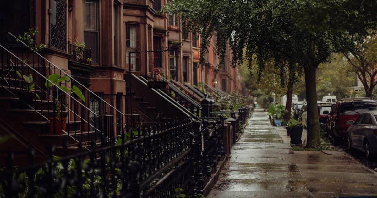 How to Grow Cannabis at Home: A Beginner's Step-by-Step Guide