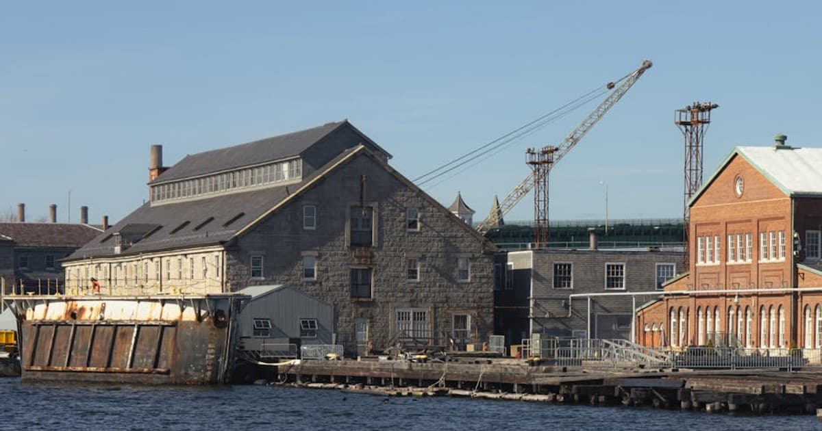 Is Cannabis Legal in My State? A State-by-State Guide to Marijuana Laws