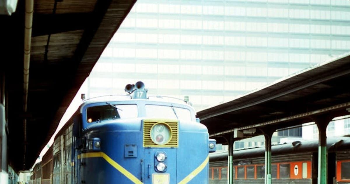 The Complete Guide to Cannabis Strains: How to Choose the Right One