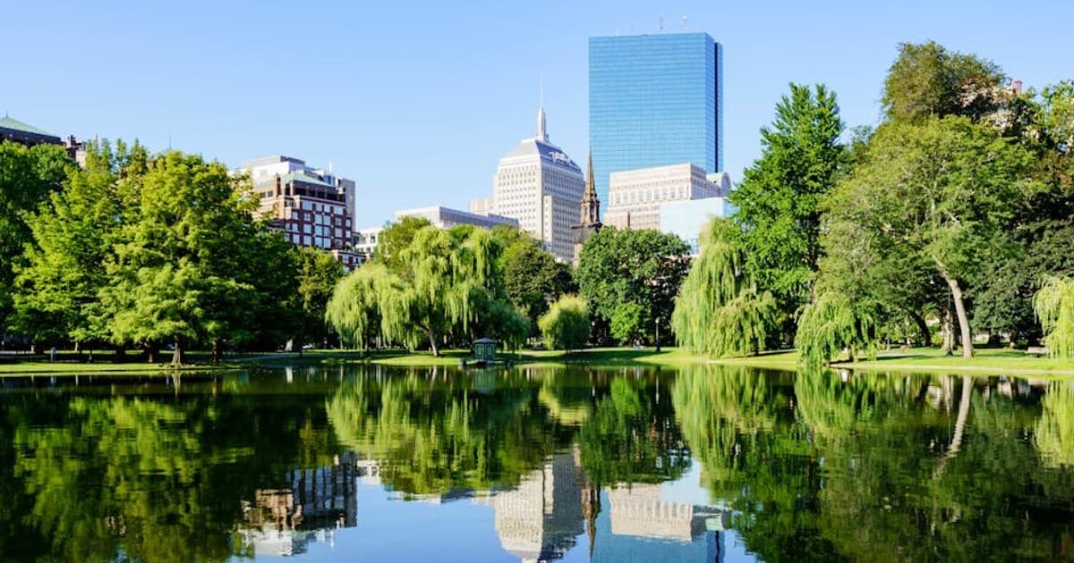 THC vs. CBD: Effects, Benefits, and Key Differences