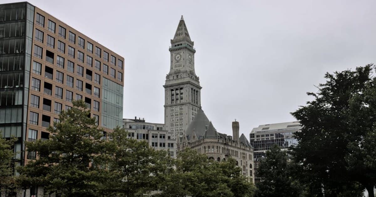 What Is Cannabis? A Complete Beginner's Guide