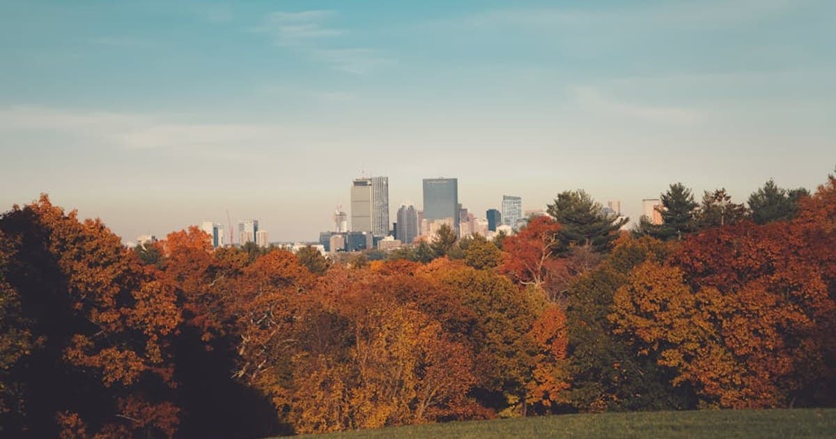 Cannabis-Infused Skincare: Does It Work?