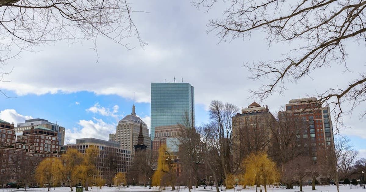 Cannabis Research: Breakthroughs and What Scientists Are Studying Now