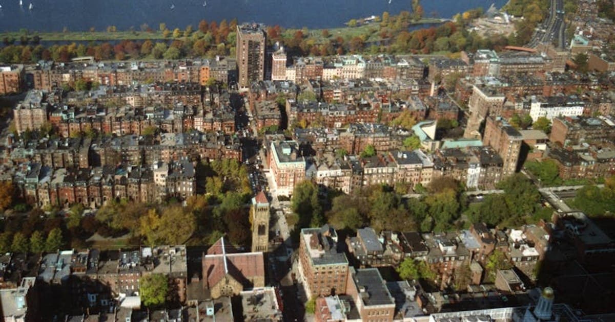 Personalized Cannabis: How Technology Is Tailoring the Experience