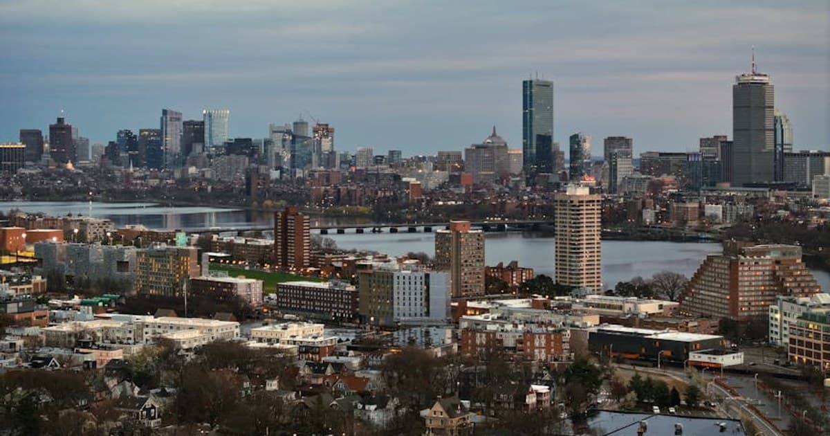 Cannabis and Pets: Is It Safe? What Every Pet Owner Should Know