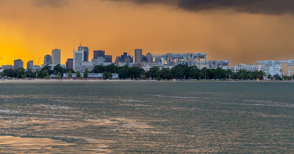 Organic vs. Conventional Cannabis: Does Growing Method Affect Quality?