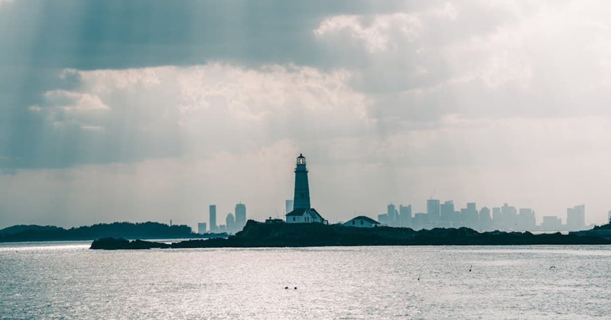 Cannabis Plant Anatomy: Flowers, Trichomes, and What Each Part Does