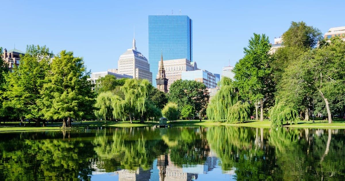 Indoor vs. Outdoor Cannabis Growing: Pros, Cons, and Key Differences