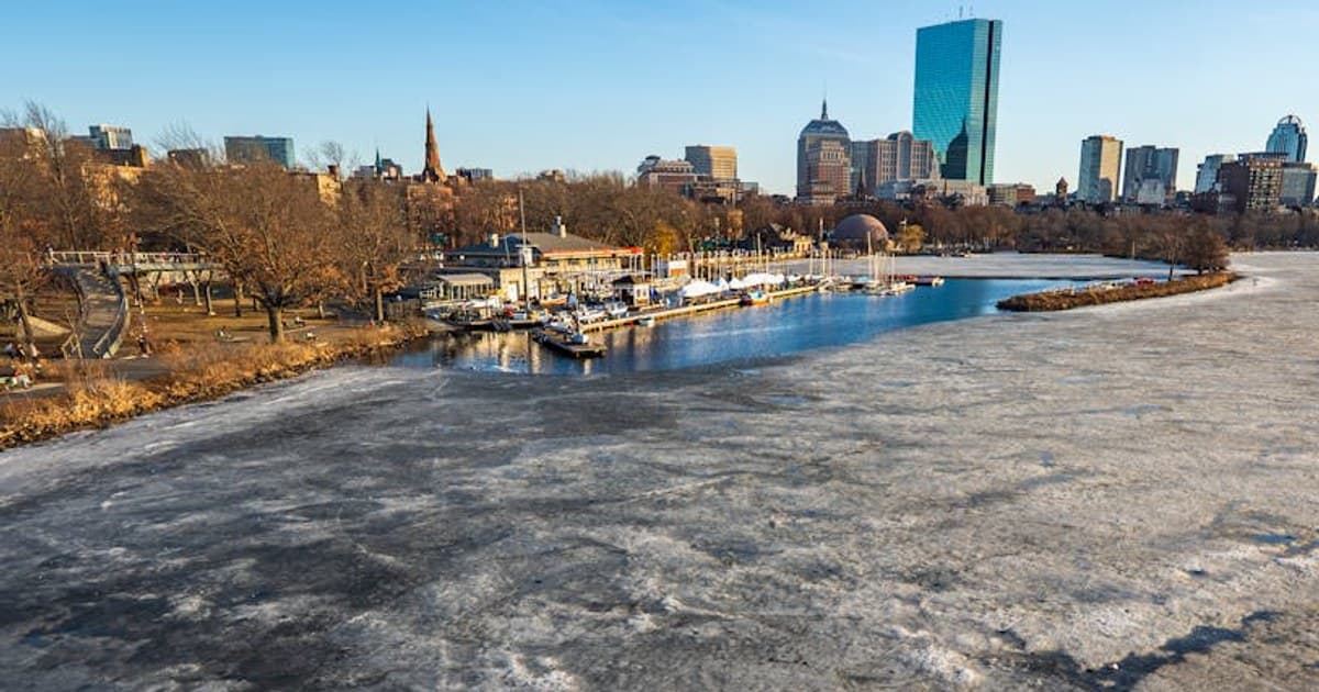 Cannabis and Opioid Reduction: What the Studies Show