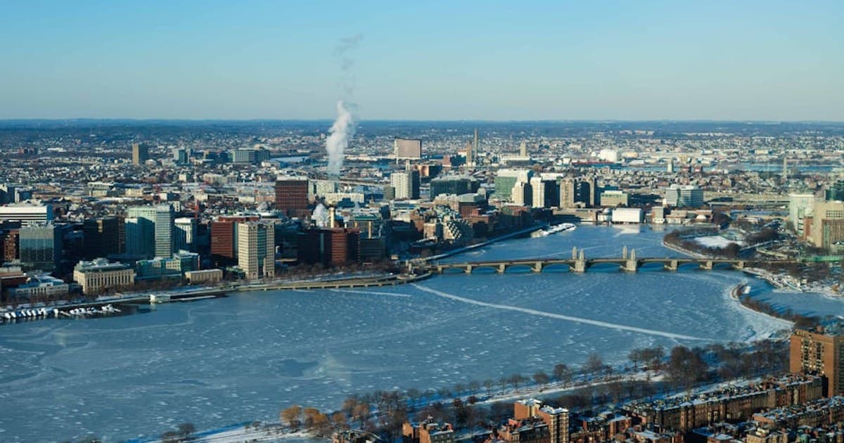 Cannabis for Arthritis: Research on Cannabinoids and Joint Pain