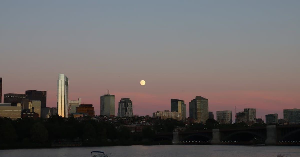 Cannabis and Epilepsy: How CBD Became an FDA-Approved Treatment