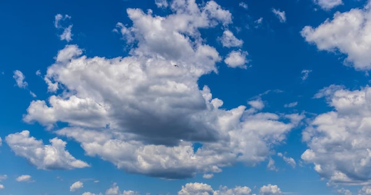 Cannabis for Cancer Patients: Managing Side Effects and Symptom Relief