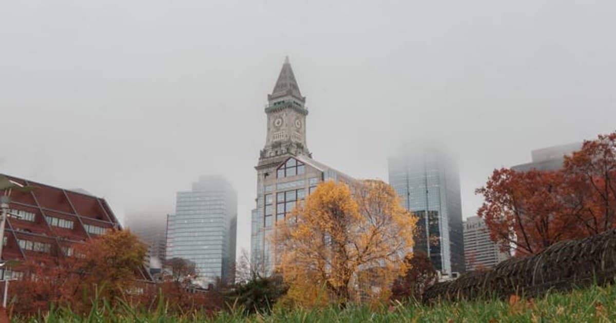 Social Equity in Cannabis: What It Means and Why It Matters