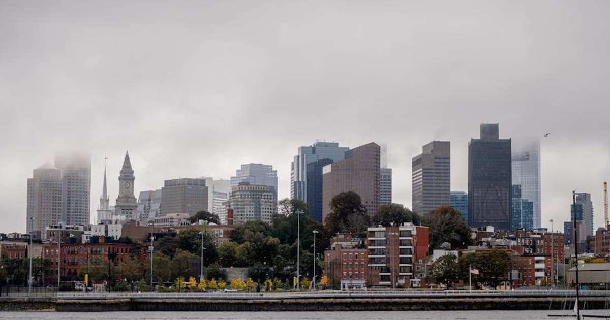 The Entourage Effect: Why Whole-Plant Cannabis May Work Better