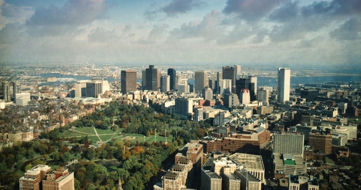 Cannabis for Inflammation: How Cannabinoids Interact with the Immune System