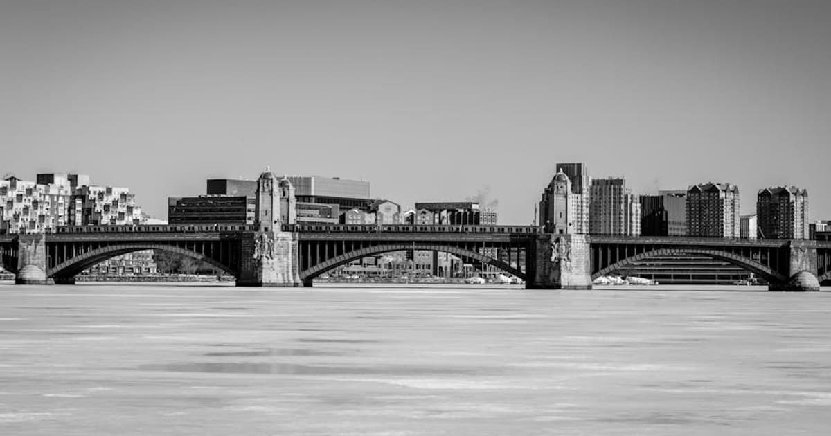 How to Read a Cannabis Product Label: Lab Results, Potency, and More