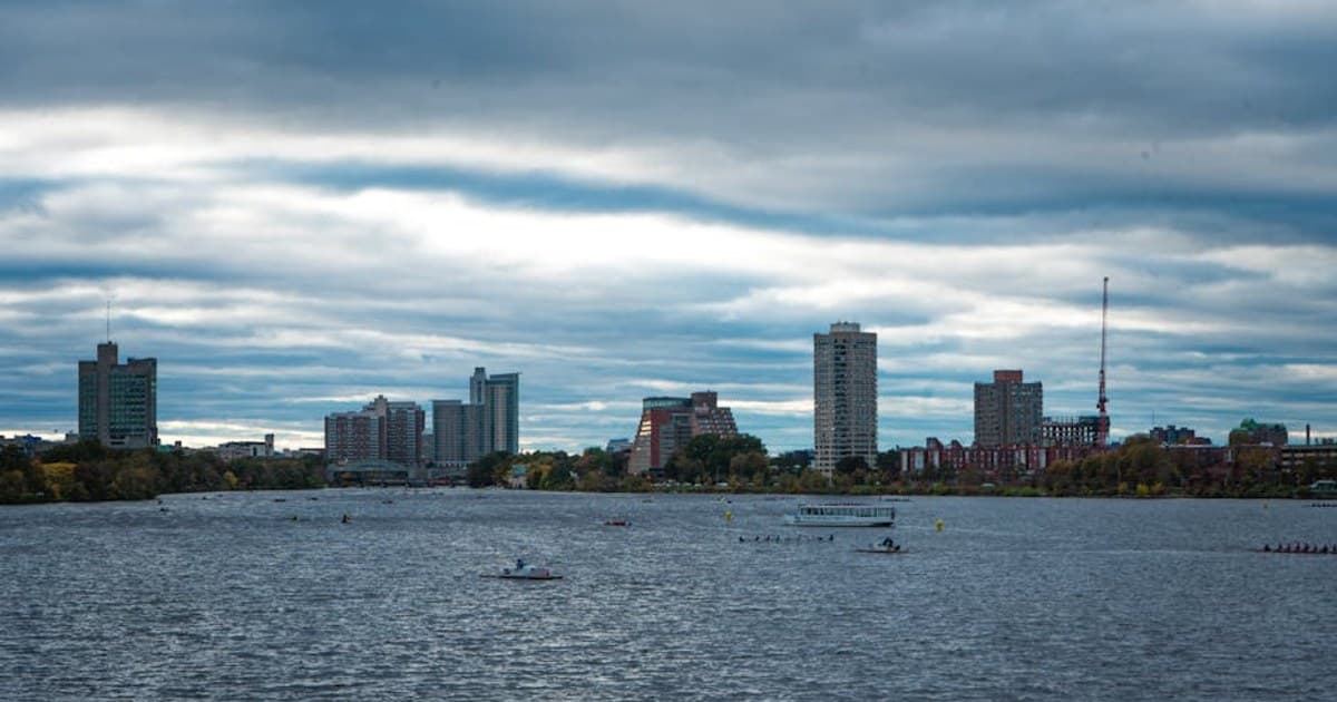 Cannabis and Drug Interactions: What to Know If You Take Medication