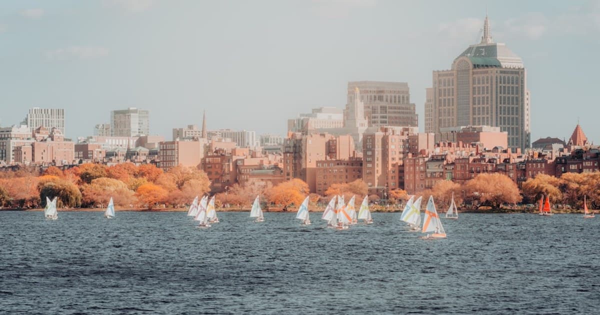 A group of sailboats sailing on a lake in front of a city