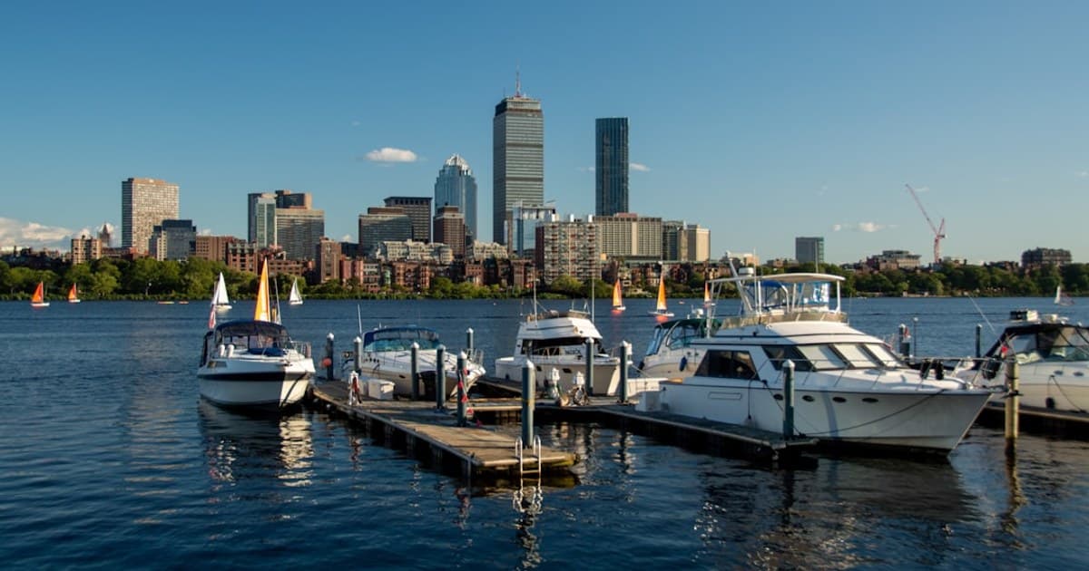 a group of boats docked at a dock in front of a city